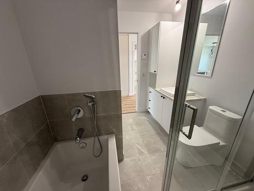 Salle de bains - E-208 Rue St-Joseph, Sainte-Anne-Des-Plaines, QC - Indoor Photo Showing Bathroom