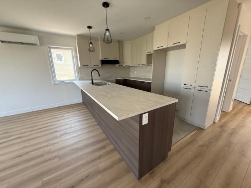 Cuisine - E-208 Rue St-Joseph, Sainte-Anne-Des-Plaines, QC - Indoor Photo Showing Kitchen