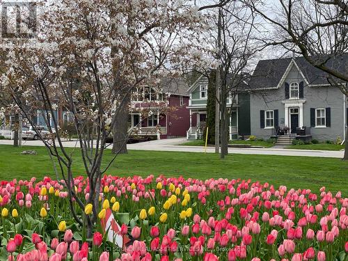 455 Nelson Avenue, Burlington, ON - Outdoor