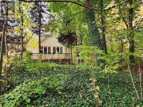 8 - 1205 Clarkson Road N, Mississauga, ON - Outdoor With Deck Patio Veranda