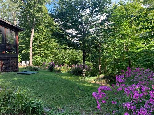 Cour - 7 Av. Du Rocher, Lac-Delage, QC - Outdoor