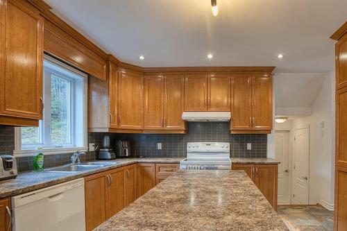 Kitchen - 311 Ch. Lagounaris, Saint-Sauveur, QC - Indoor Photo Showing Kitchen With Double Sink