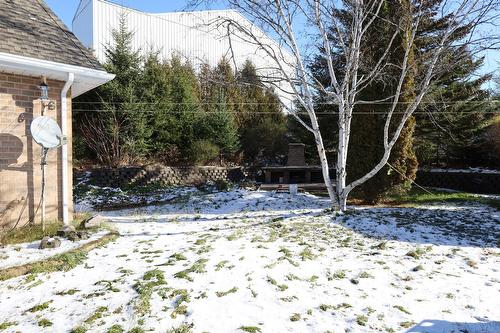 Cour - 985 Rue Adélard, Saint-Pascal, QC - Outdoor