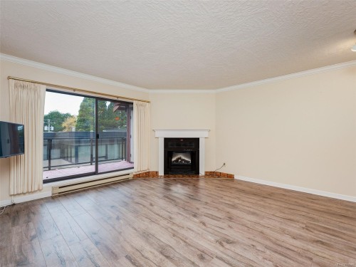403-420 Parry St, Victoria, BC - Indoor Photo Showing Living Room With Fireplace