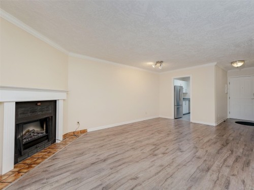 403-420 Parry St, Victoria, BC - Indoor Photo Showing Living Room With Fireplace