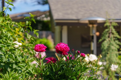 2780 Arbutus Rd, Saanich, BC 