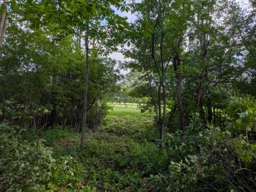 Terre/Terrain - 25E Rue O., Venise-En-Québec, QC 