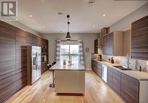 42 Brine Street, St. John'S, NL - Indoor Photo Showing Kitchen With Double Sink