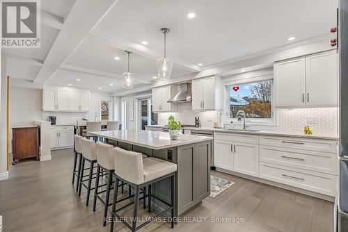 8 Keewaydin Street, Hamilton, ON - Indoor Photo Showing Kitchen With Upgraded Kitchen