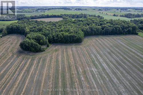 Pt Lts 38 & 39 Conc 9, Whitewater Region, ON 