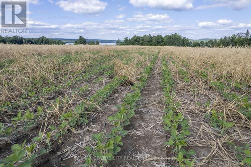 Pt Lts 38 & 39 Conc 9, Whitewater Region, ON 