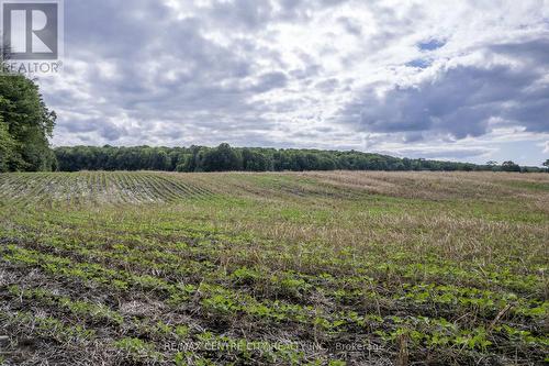 Pt Lts 38 & 39 Conc 9, Whitewater Region, ON 