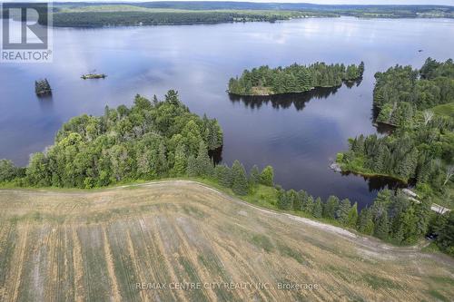 Pt Lts 38 & 39 Conc 9, Whitewater Region, ON 