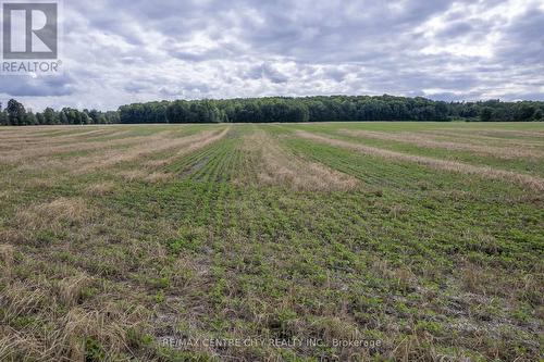 Pt Lts 38 & 39 Conc 9, Whitewater Region, ON 