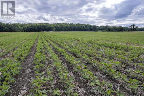 Pt Lts 38 & 39 Conc 9, Whitewater Region, ON 