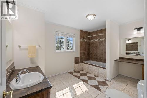 322 Tolt Road, St. Philips, NL - Indoor Photo Showing Bathroom