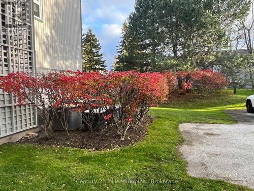 706 Johnston Park Avenue, Collingwood, ON - Outdoor