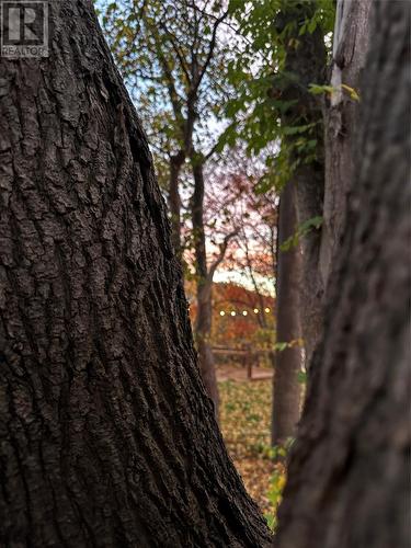 7 Waterford Bridge Road Unit#200, St. John'S, NL 