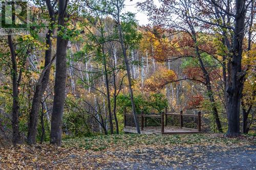 7 Waterford Bridge Road Unit#200, St. John'S, NL 