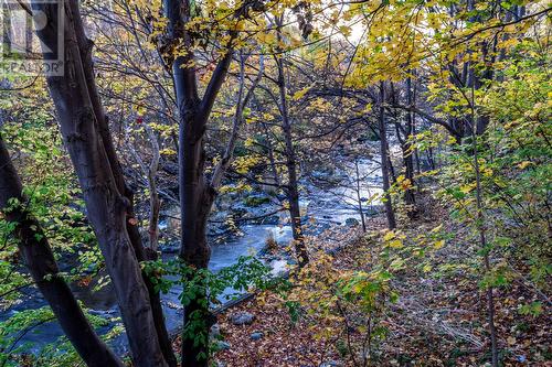 7 Waterford Bridge Road Unit#200, St. John'S, NL 