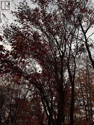 7 Waterford Bridge Road Unit#200, St. John'S, NL 