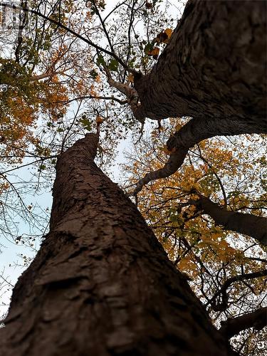 7 Waterford Bridge Road Unit#200, St. John'S, NL 