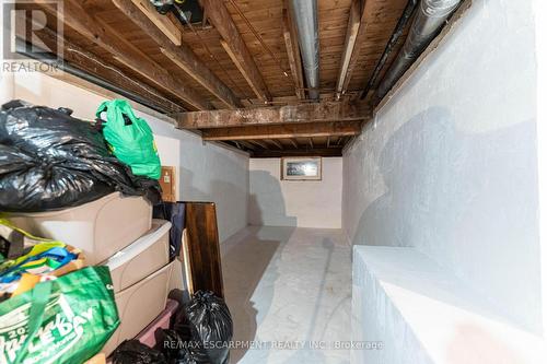 284 Paling Avenue, Hamilton, ON - Indoor Photo Showing Basement