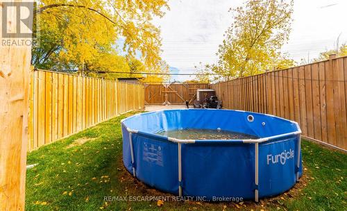 284 Paling Avenue, Hamilton, ON - Outdoor With Above Ground Pool With Backyard