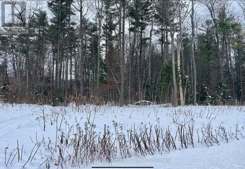 Lot 5 Algonquin Trail, Tiny, ON 