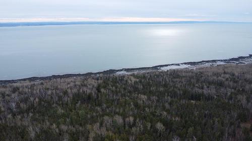 Photo aérienne - 1805 Boul. Malcolm-Fraser, La Malbaie, QC - Outdoor With View