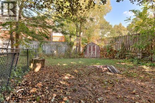 Fenced backyard featuring a storage shed - 50 Walnut Street, Kitchener, ON - Outdoor