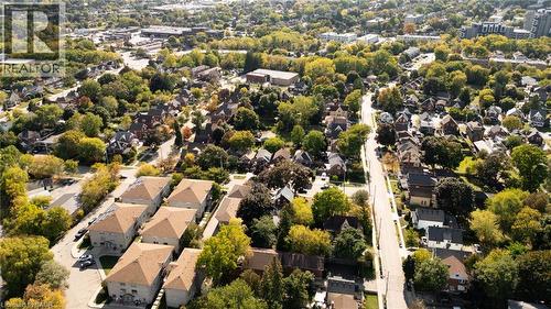 Aerial view of property's location with a tree filled landscape - 50 Walnut Street, Kitchener, ON - Outdoor With View