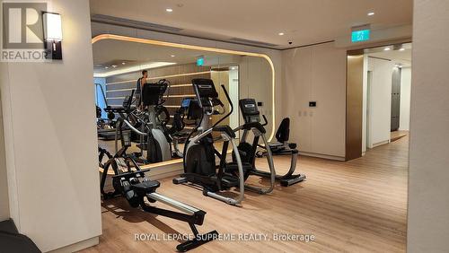 Lph15 - 1100 Sheppard Avenue W, Toronto, ON - Indoor Photo Showing Gym Room