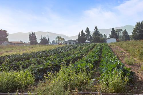 2619 3 Highway, Erickson, BC - Outdoor With View