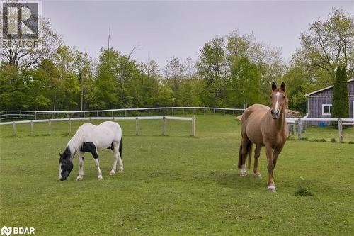 10632 Fifth Line, Milton, ON - Outdoor