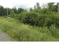 000 620 RTE  Tay Creek, NB E6B 1K5