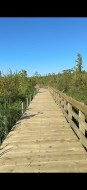 Nearby - 