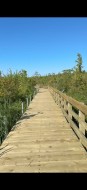 Nearby - 
