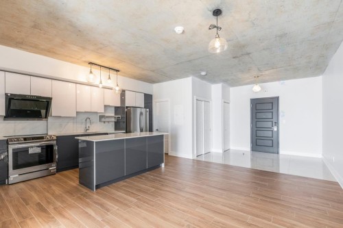 Salon - 307-850 Rue Ouimet, Montréal (Saint-Laurent), QC - Indoor Photo Showing Kitchen With Upgraded Kitchen