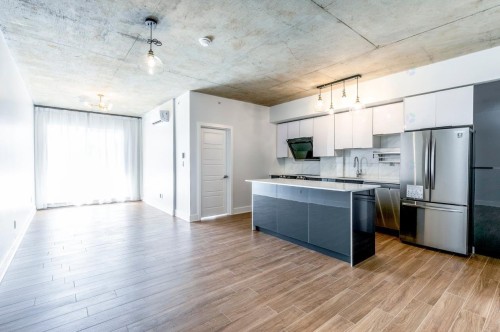 Cuisine - 307-850 Rue Ouimet, Montréal (Saint-Laurent), QC - Indoor Photo Showing Kitchen