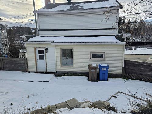 Face arrière - 49 Rue De La Donohue, Clermont, QC - Outdoor With Exterior
