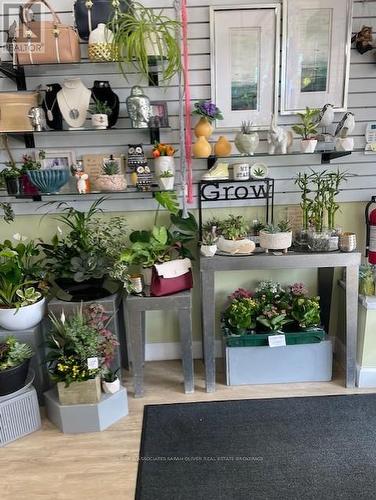 Gift wares and house plants - A - 600 Oxford Street E, London East (East F), ON 