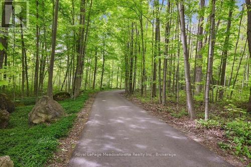 10632 Fifth Line, Milton (Na Rural Nassagaweya), ON - Outdoor With View