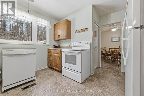 101 Lance Road, Laurentian Hills, ON - Indoor Photo Showing Kitchen