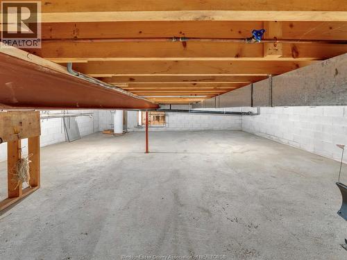 4155 Manning Road, Tecumseh, ON - Indoor Photo Showing Basement