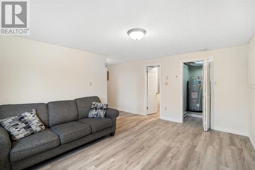 32 Schreyer Crescent, Mount Pearl, NL - Indoor Photo Showing Living Room