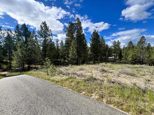 305 Corral Place, Cranbrook, BC - Outdoor With View