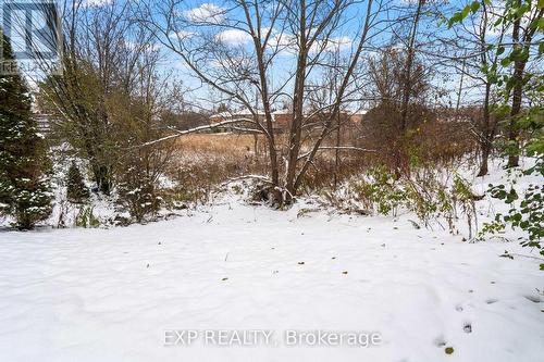 529 Winkworth Court, Newmarket, ON - Outdoor With View