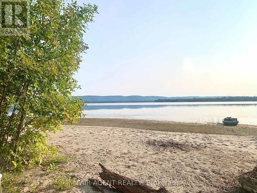 164 Baillie Avenue, Ottawa, ON - Indoor Photo Showing Living Room