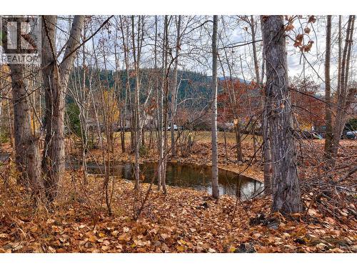 524 Aulin Avenue, Chase, BC - Outdoor With View